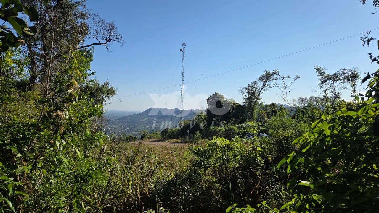 SITIO COM LINDA VISTA PARA PICADA CAFÉ