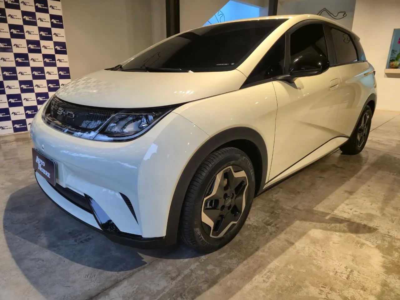 BYD Dolphin EV (Elétrico) 2025 - Foto 3