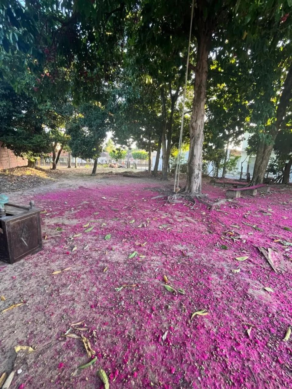 Terreno Urbano para Venda em Satuba, Centro - Foto 5