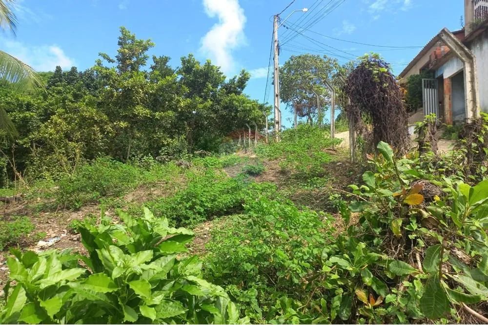 Terreno em guaxuma Maceió, AL-101 - Foto 11
