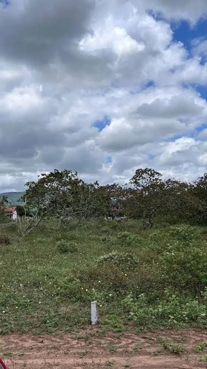 Foto - Feira de Santana - Tomba