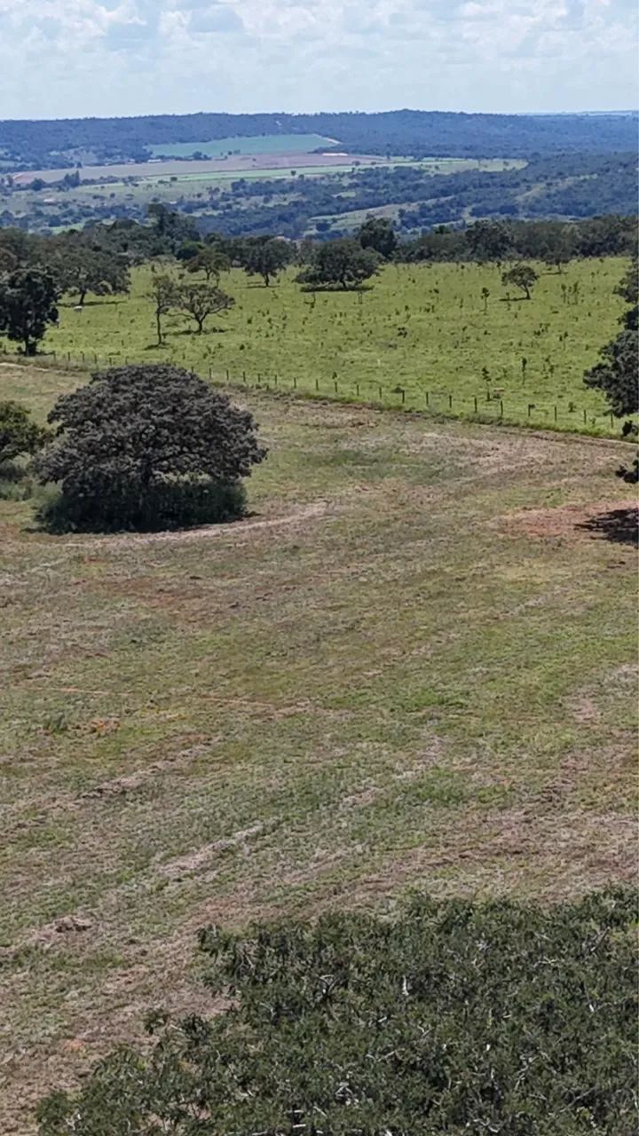 Fazenda em Aragoiânia  - Foto 2