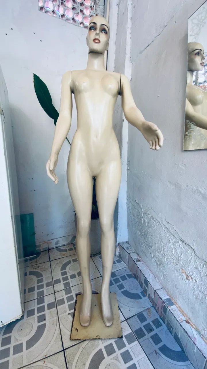 Modelo Manequim feminino 