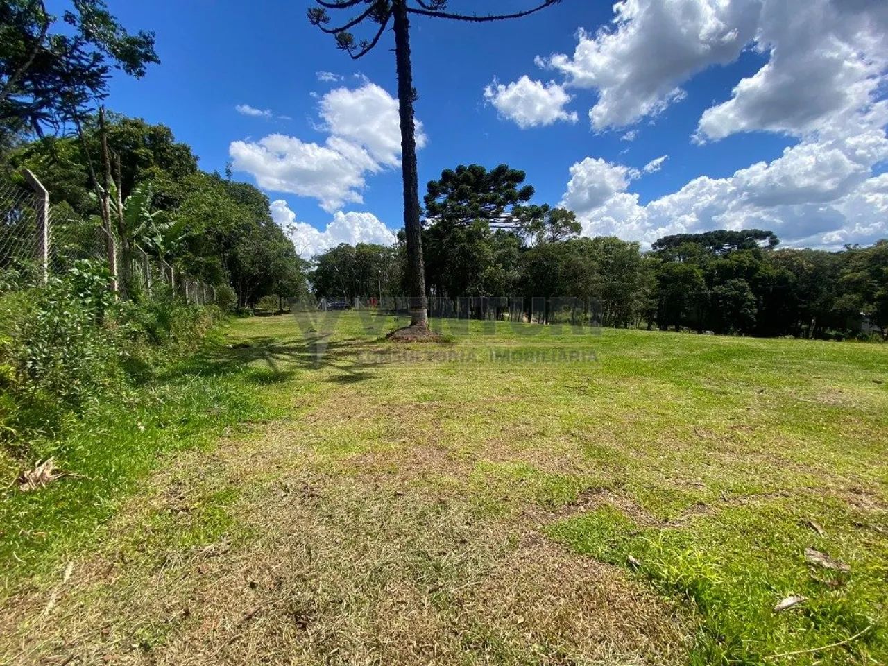 Lotes de terreno com 1.042m² - Estrada da Roseira - Foto 5
