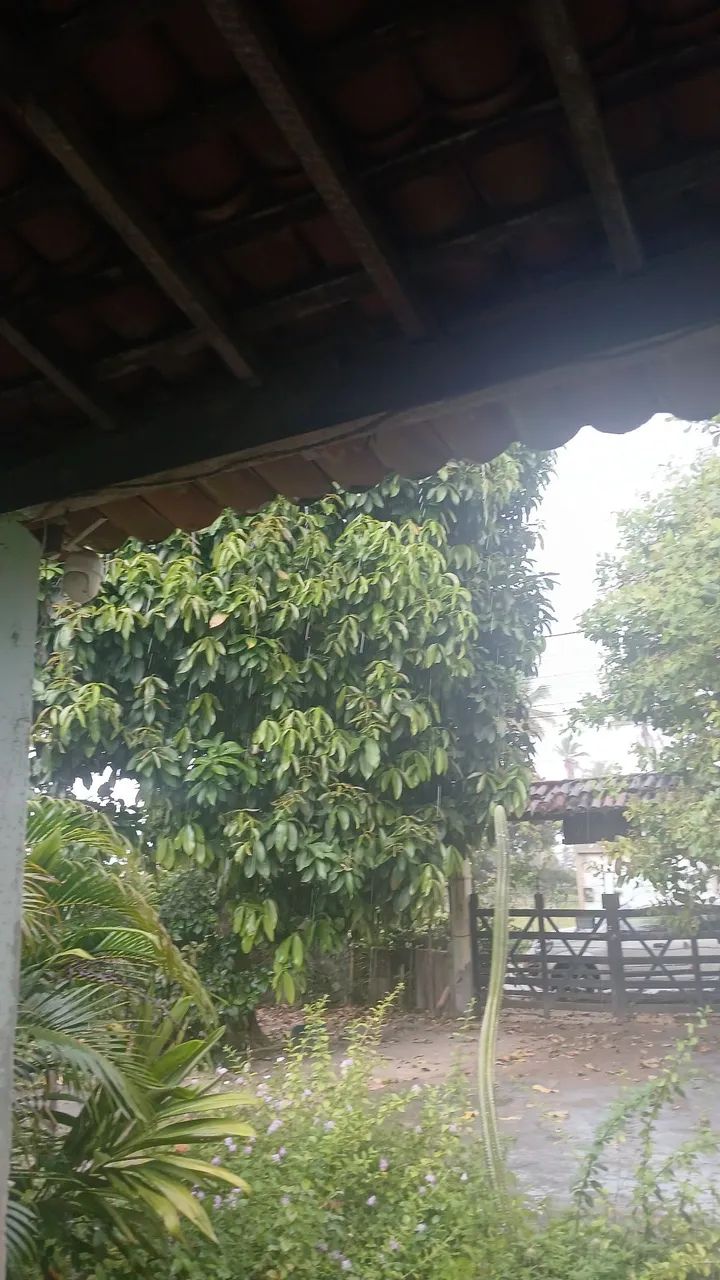 Casa mini chácara pov são jose japaratuba se  *  - Foto 4