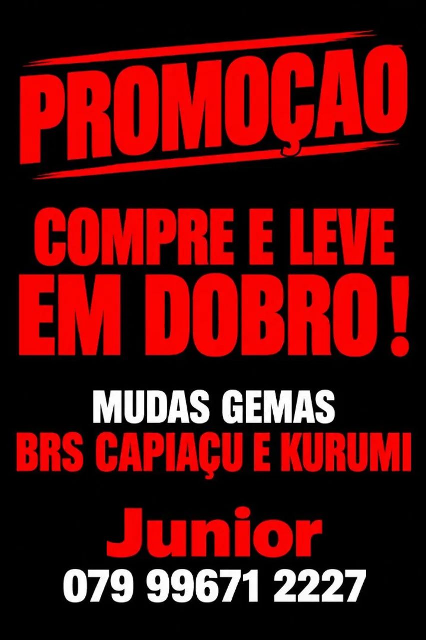COMPRE E LEVE EM DOBRO BRS CAPIAÇU KURIMI DA EMBRAPA SO ESSE MES DE OUTUBRO 26