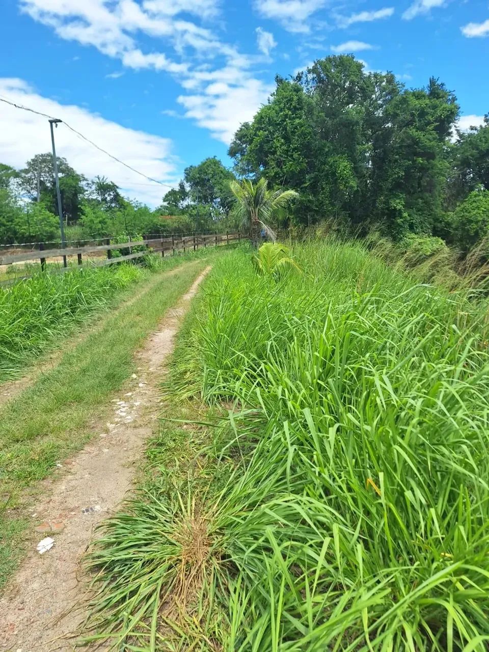 área para chácara com 2.500m² - Foto 2