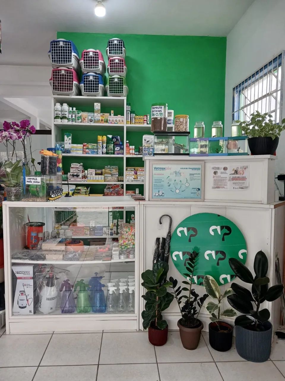 Agropecuária em Araquari - Foto 3