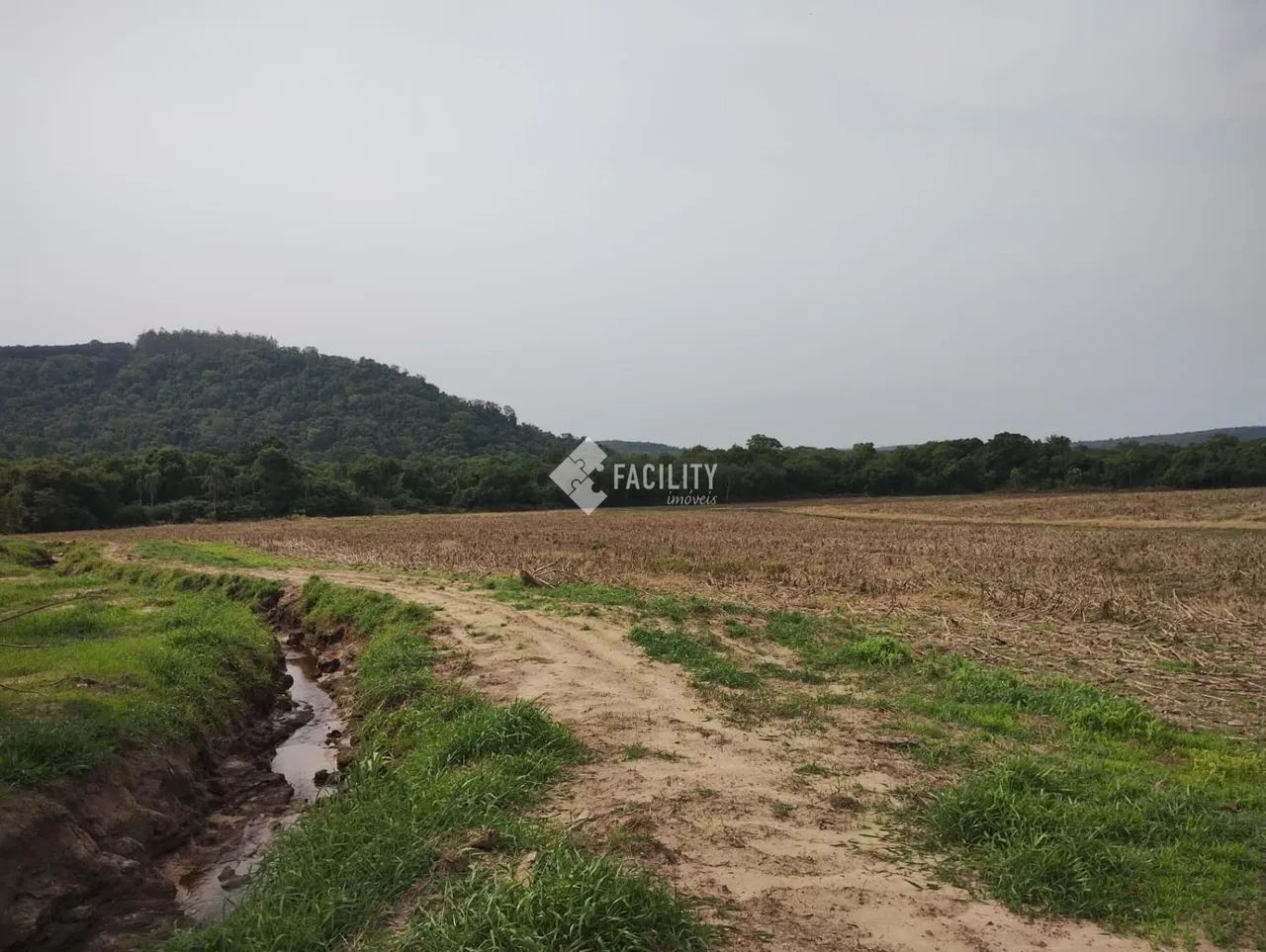 Sitio produtivo em Itapetininga - Sorocaba - Foto 4
