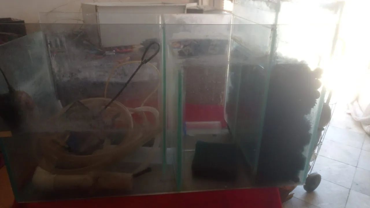 aquario - Foto 2