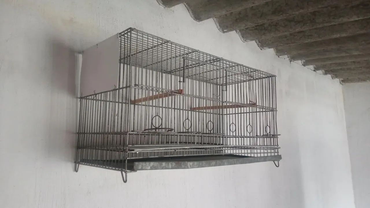 Gaiola  - Foto 2