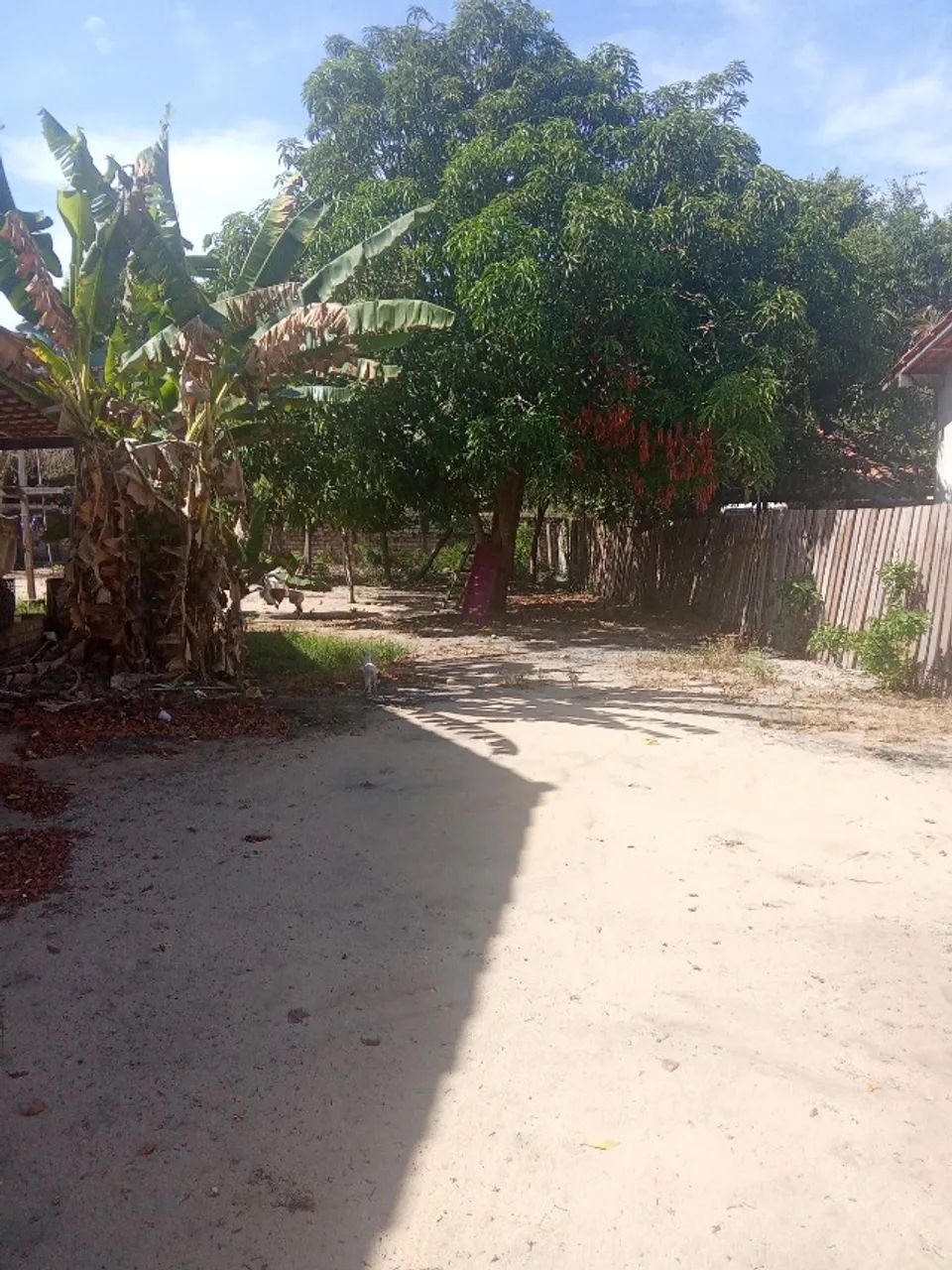 Terreno em Alter do chão  - Foto 3