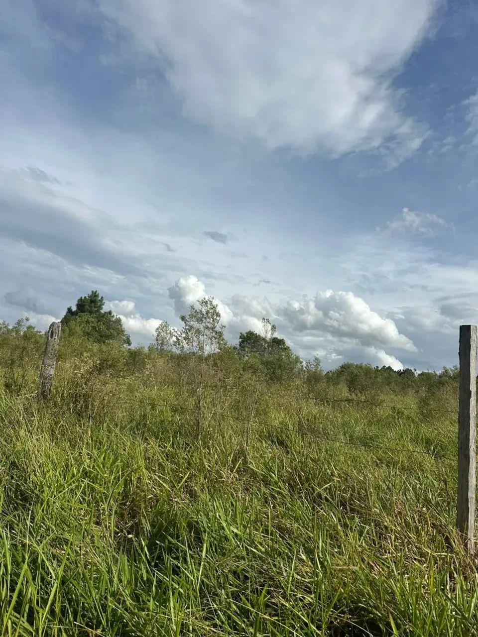 1.000m² em Mairinque | Condomínio Fechado Cercado pela Natureza - Foto 3