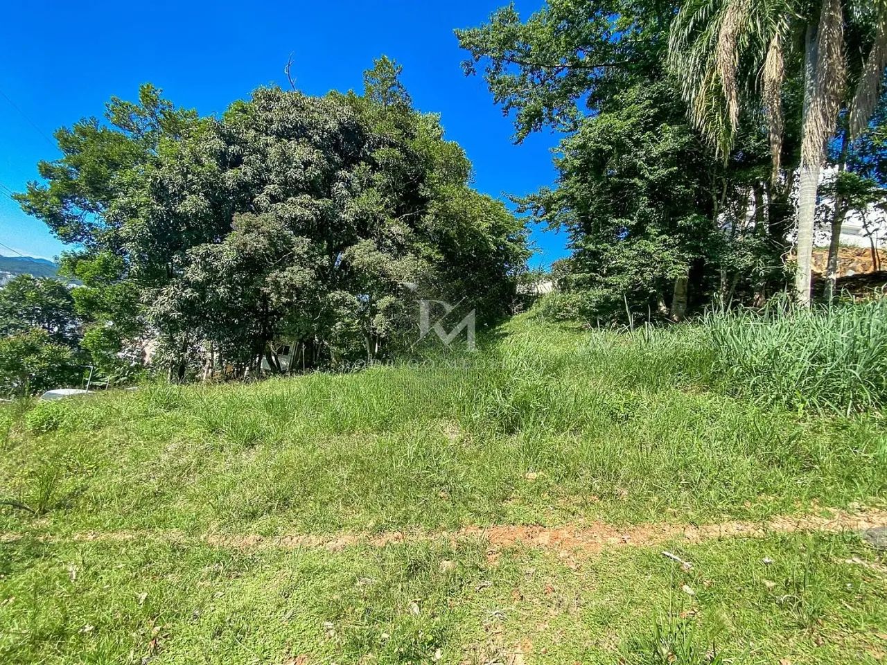 Terreno - Córrego Grande, Florianópolis/SC - Foto 4