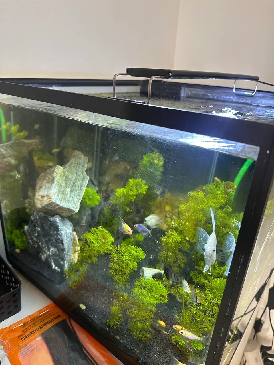 Aquário marinho 150Litros - Foto 2