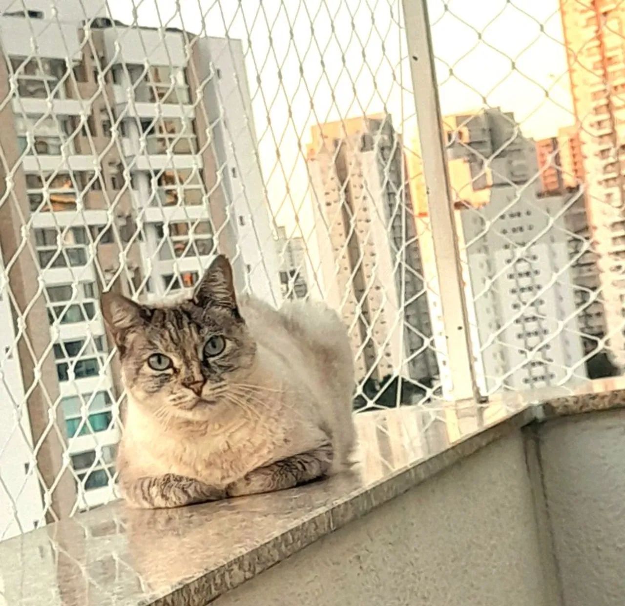 Nina - Foto 2