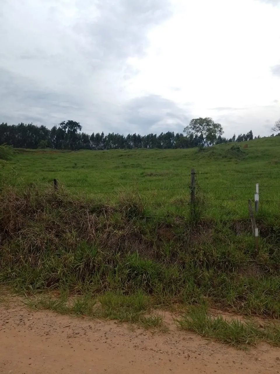 Vendo Chácara em Canas  - Foto 2