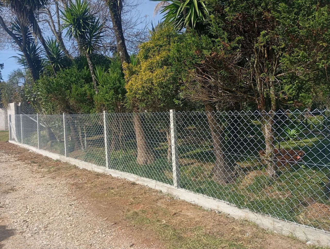 Fabricamos canil gatil cercas  - Foto 4