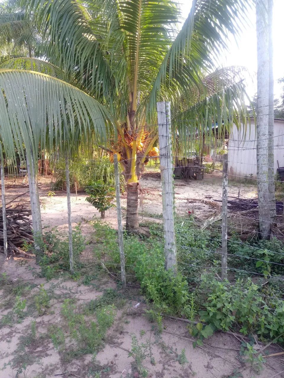 Vendo terreno em Marituba  - Foto 2