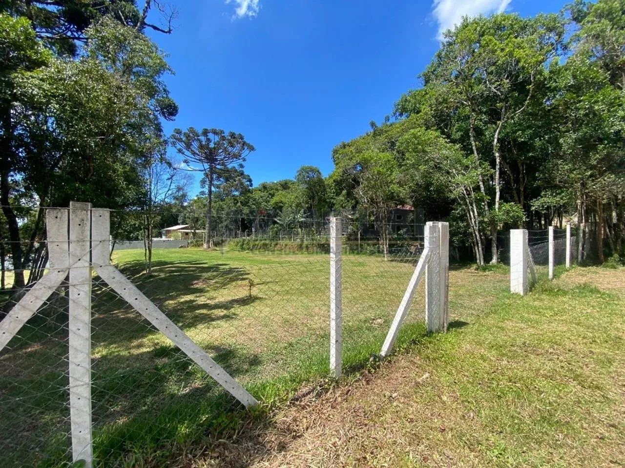 Lotes de terreno com 1.042m² - Estrada da Roseira