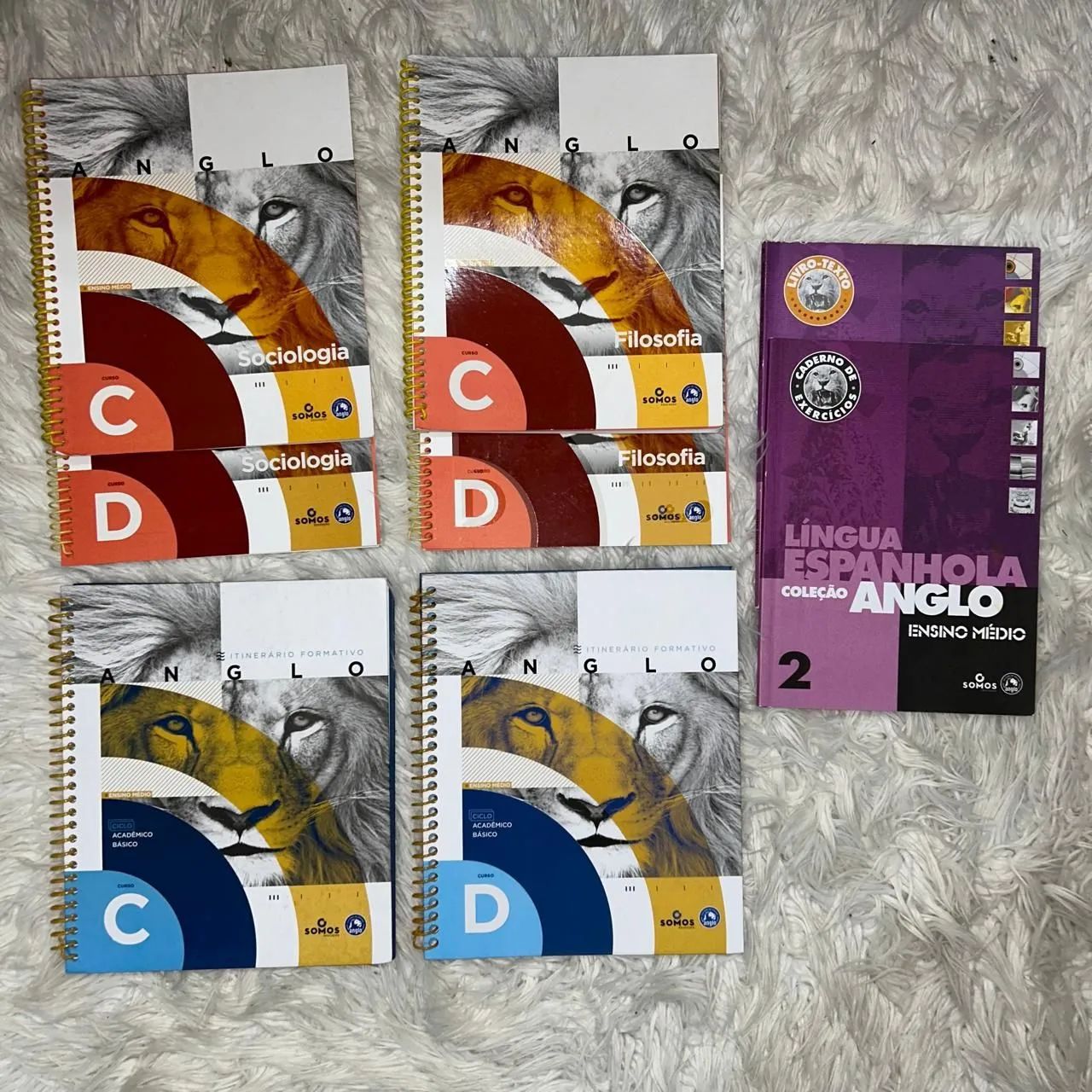 Kit Apostilas Vestibular 2 - Foto 5