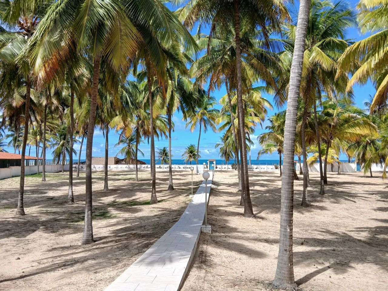 CHÁCARA BEIRA-MAR - Foto 3