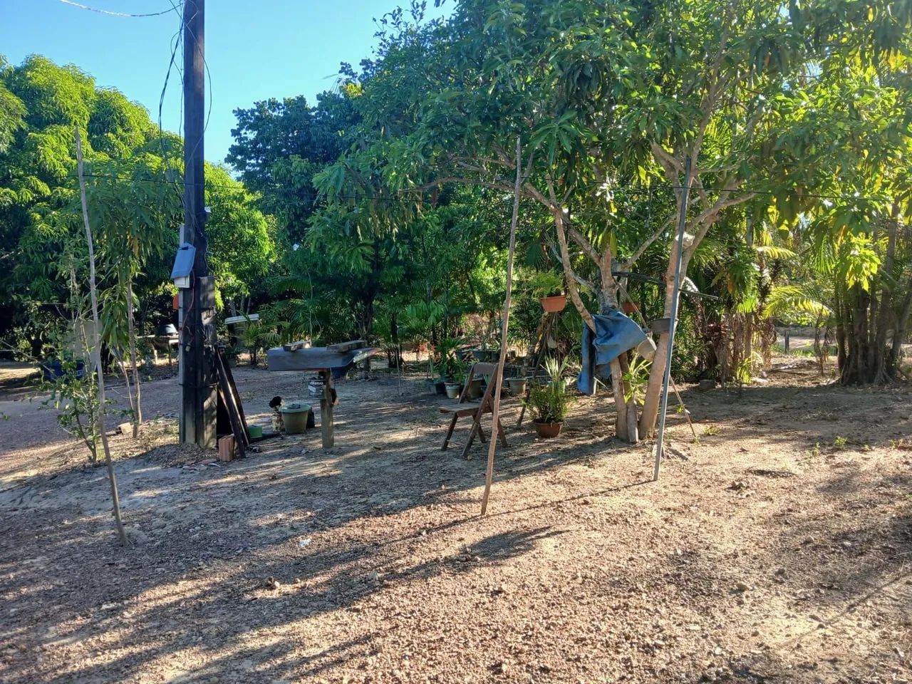 Vende-se chácara na vila sororó ( Cabaceira )  - Foto 5