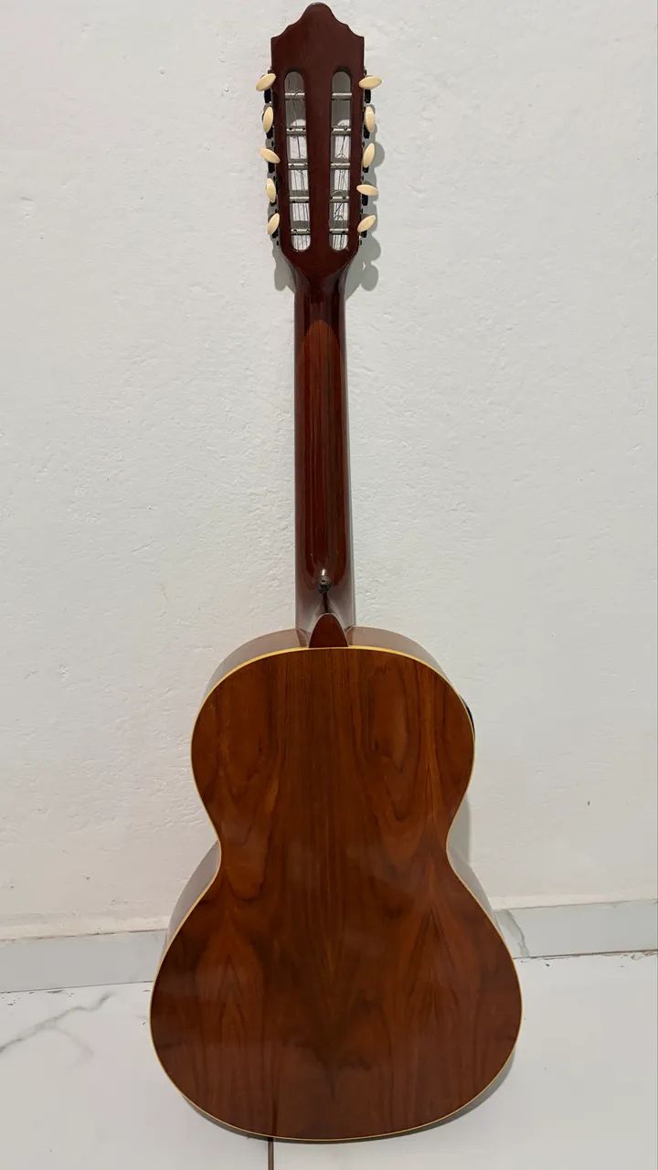 Viola caipira 