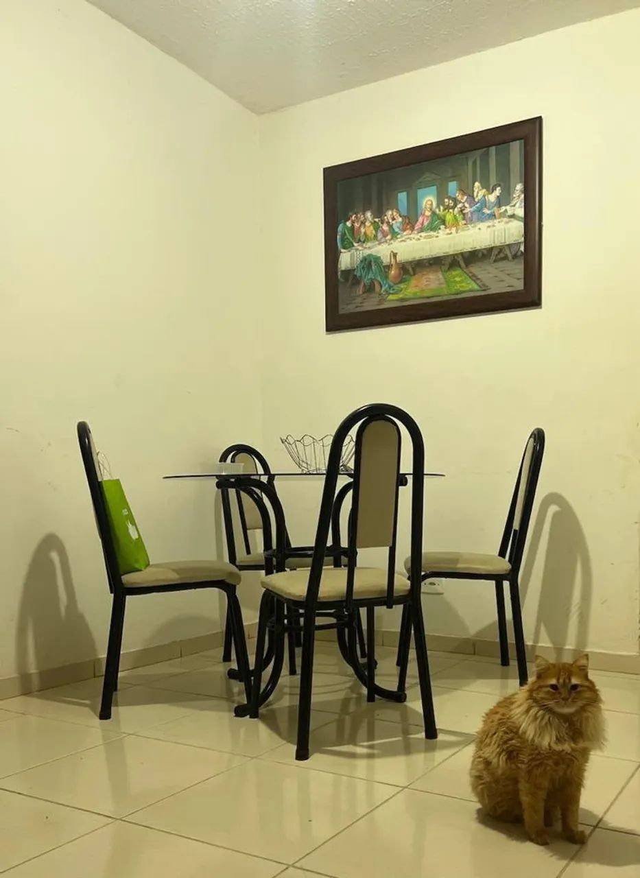 Mesa jantar vidro 4 cadeiras