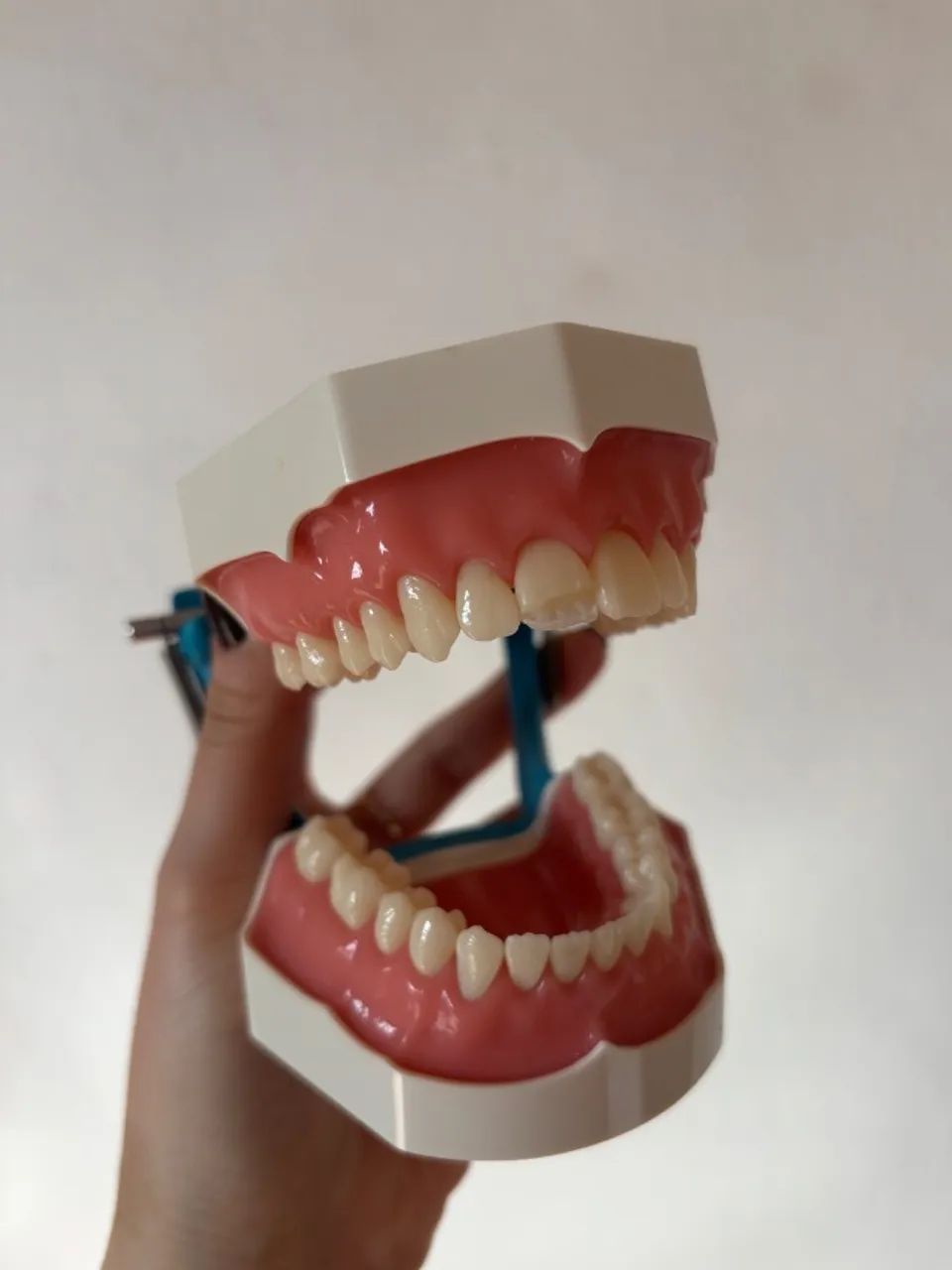 Manequim dentistíca  - Foto 3