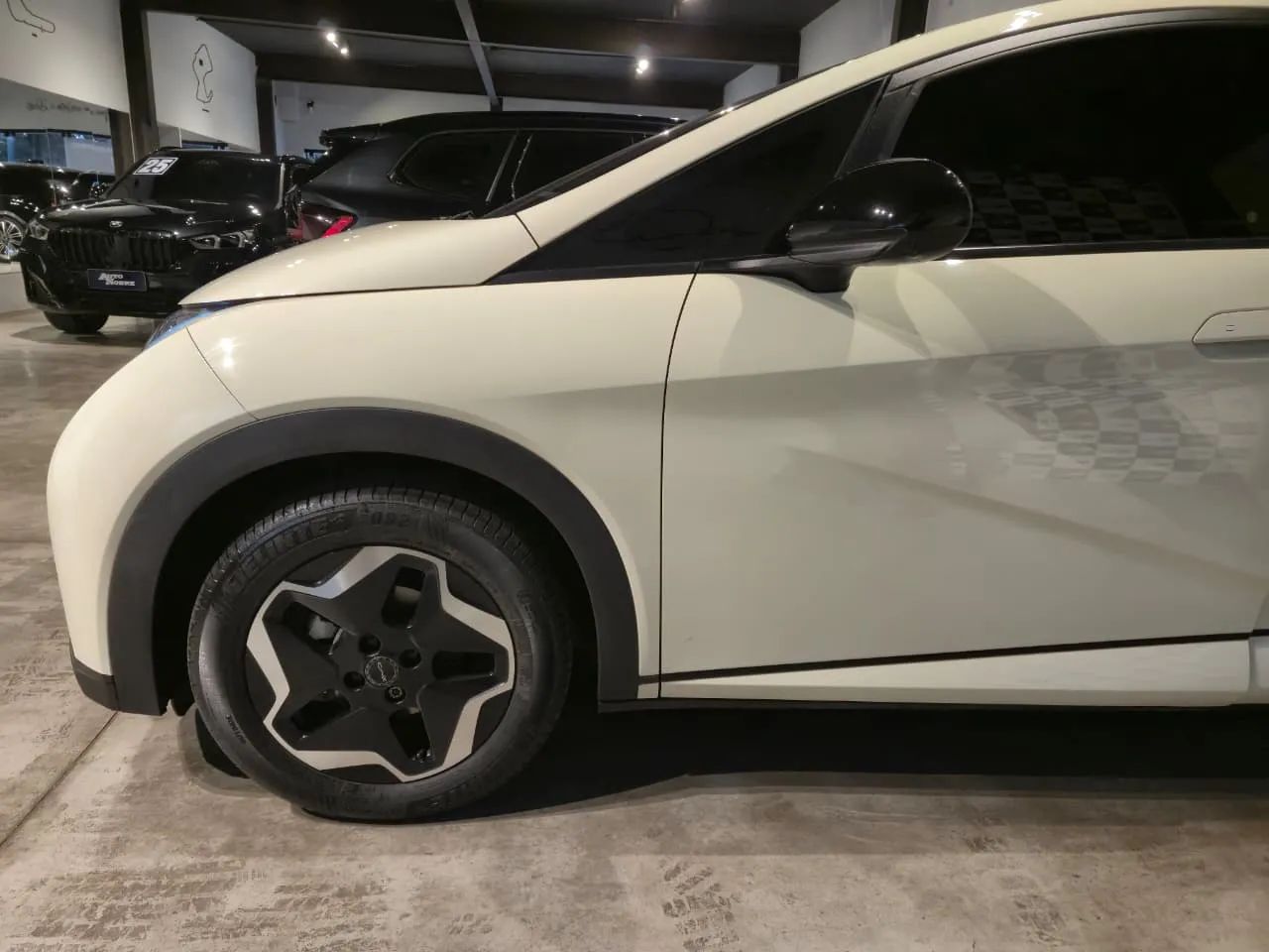 BYD Dolphin EV (Elétrico) 2025 - Foto 4