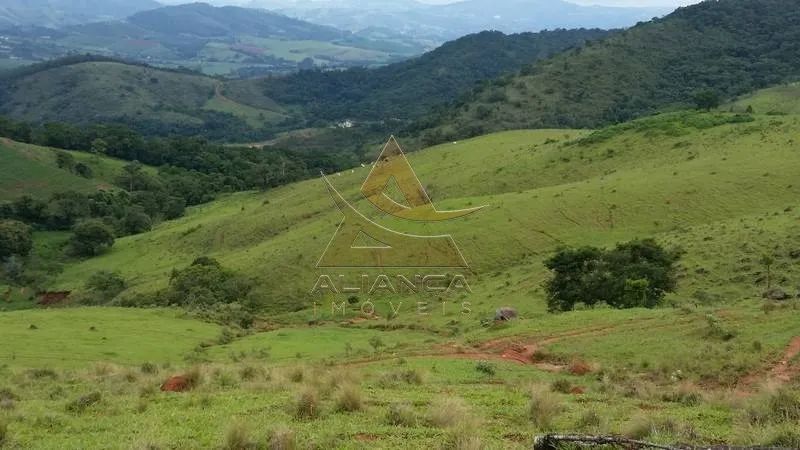 Fazenda - Socorro - Zona Rural