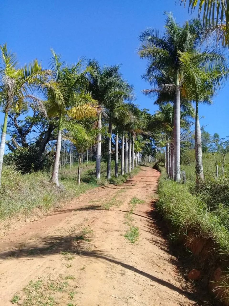 Propriedade Rural