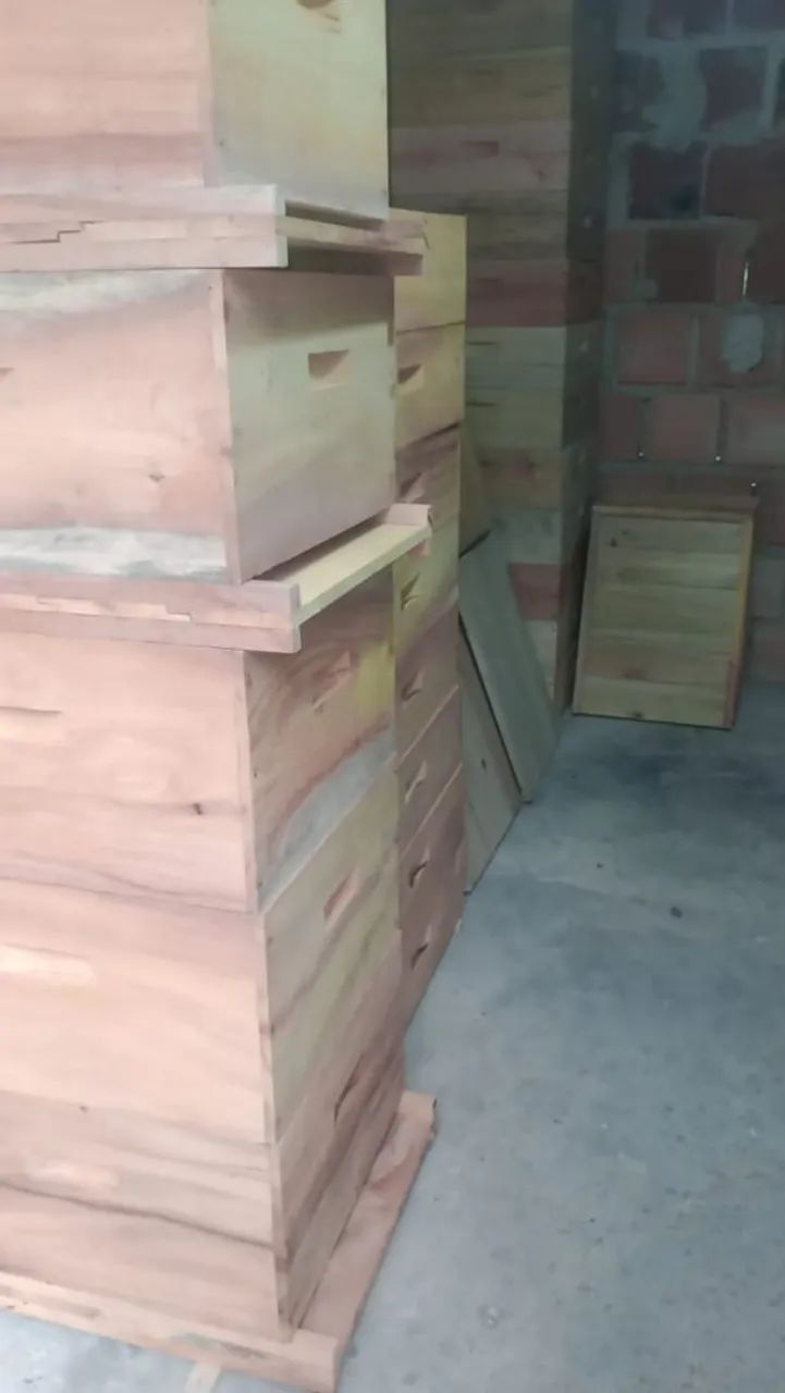 Apicultura 
