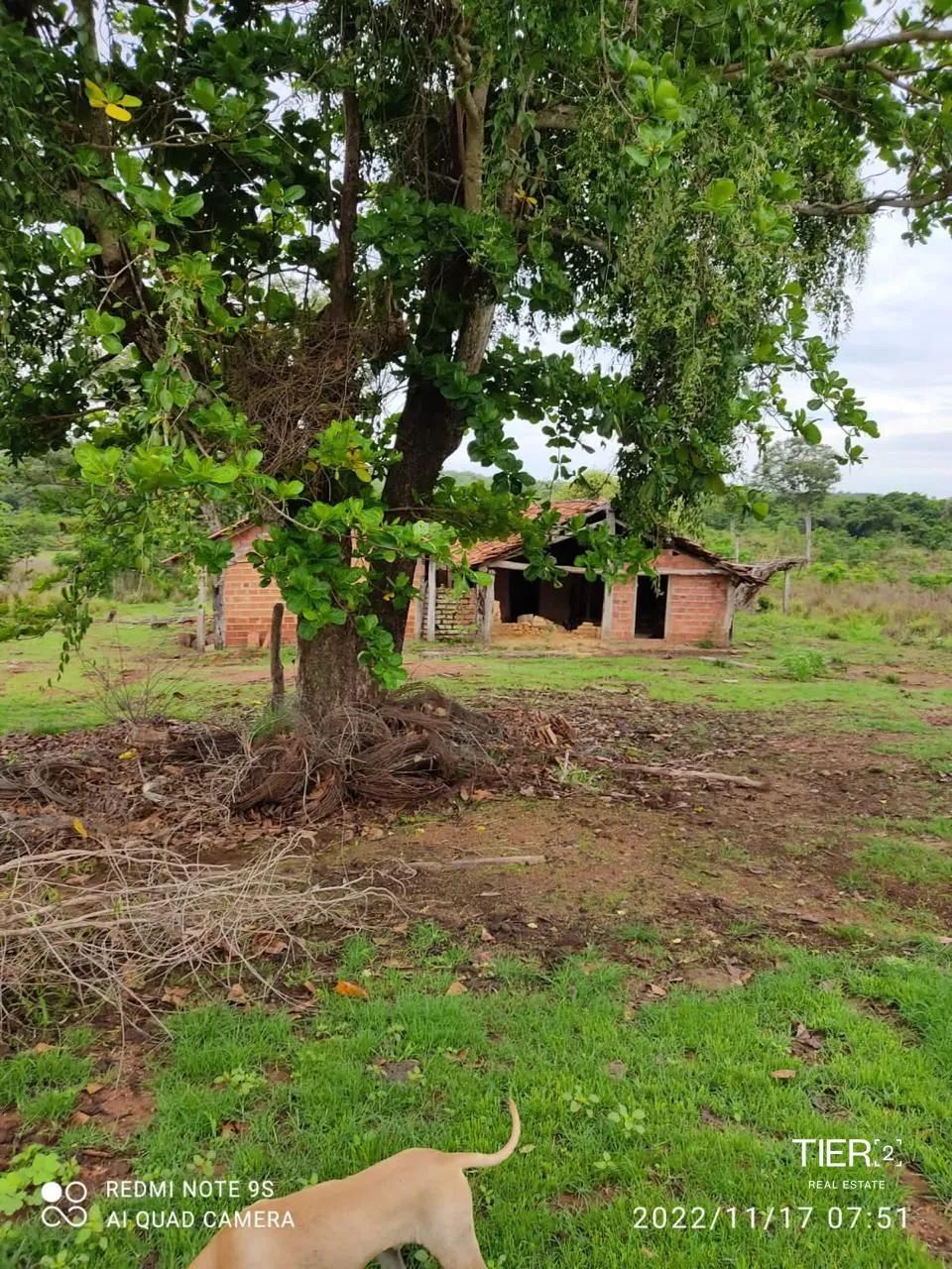 Fazenda 1 dormitórios à venda Setor Central Pedro Afonso/TO - Foto 5
