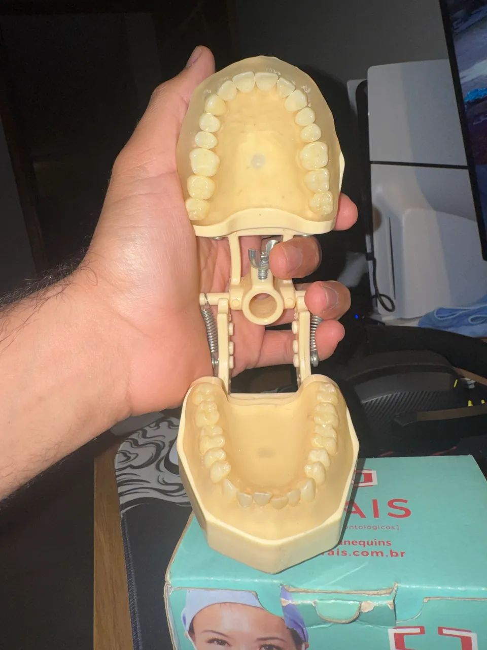 Manequim de Periodontia Orais  - Foto 3