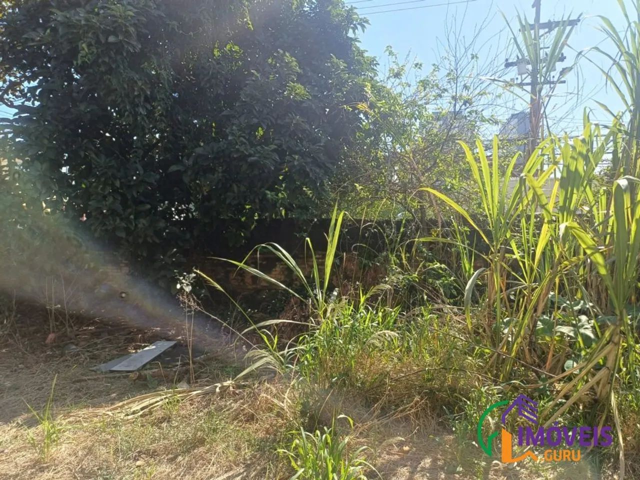 TERRENO - ÁGUA FUNDA - SP - Foto 3