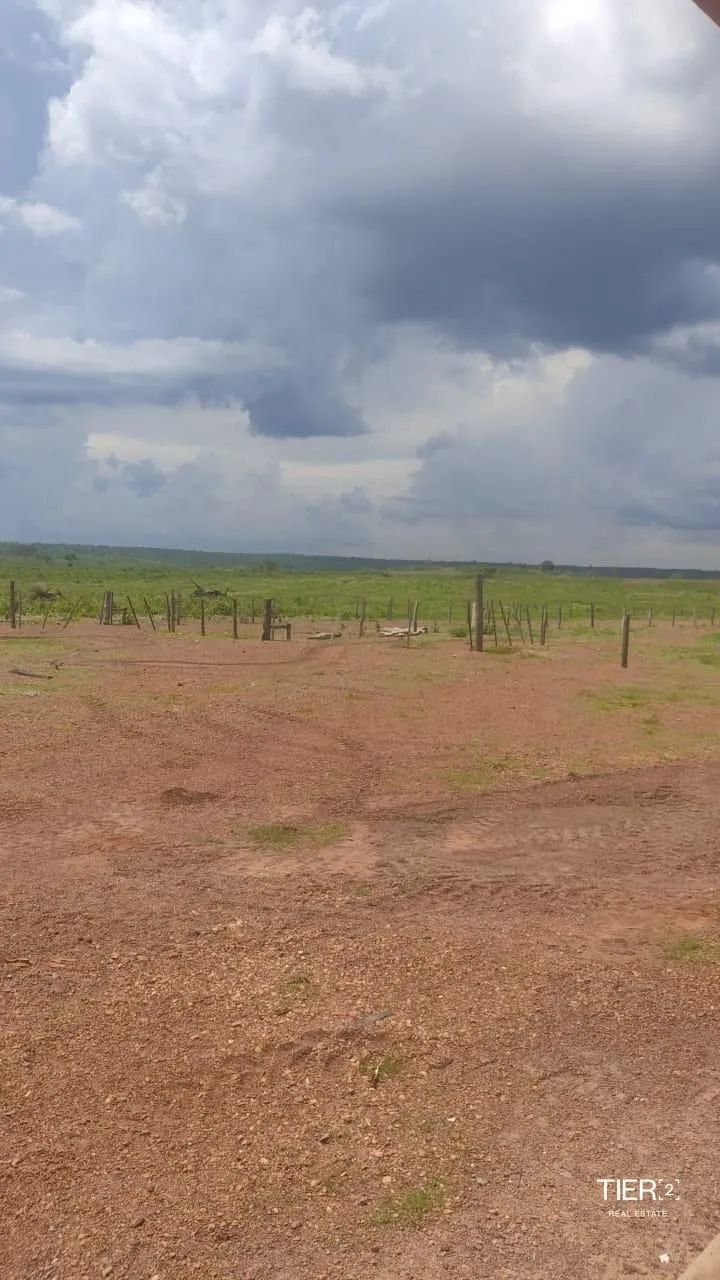 Fazenda 1 dormitórios à venda Setor Central Pedro Afonso/TO - Foto 3