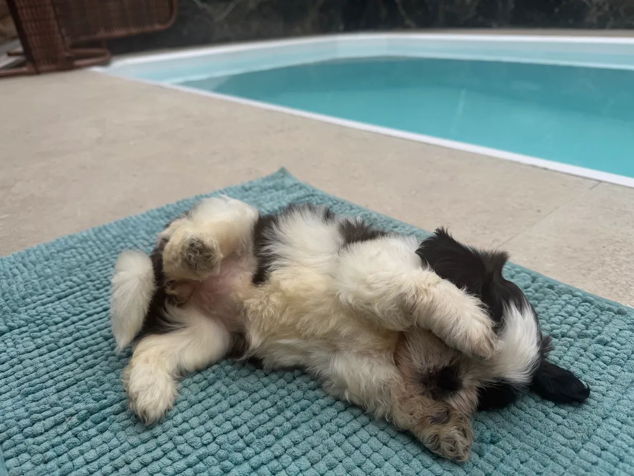 Disponível  - Foto 2