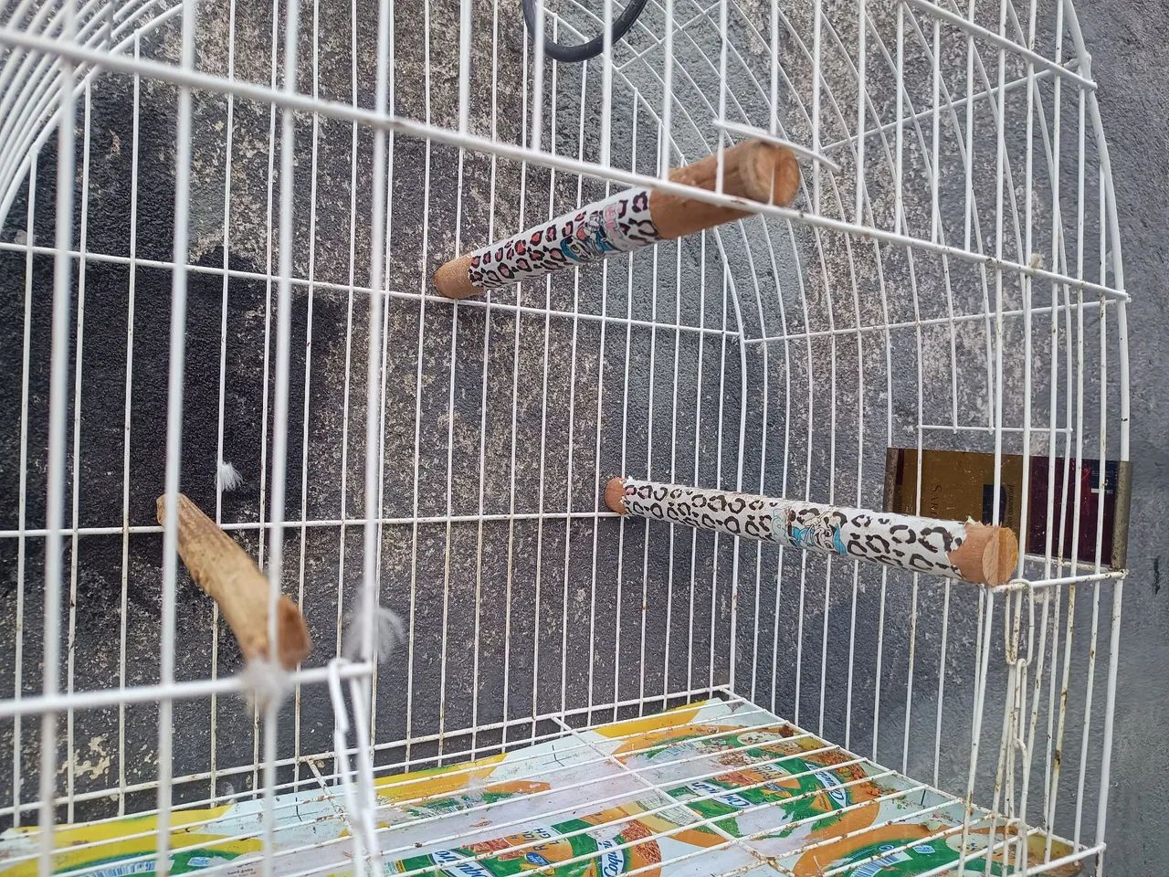 Vende-se gaiola! - Foto 6