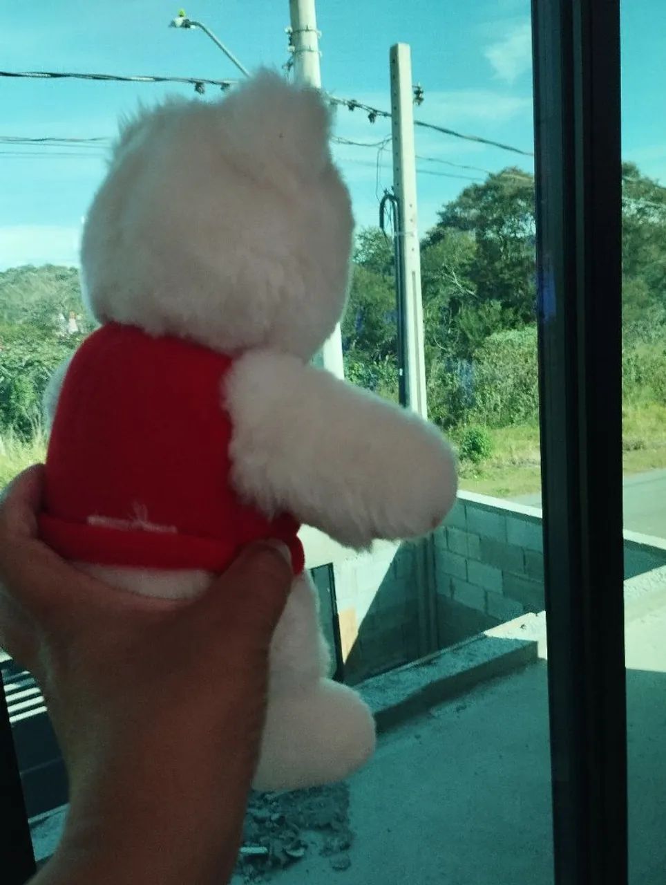 Urso apaixonado Lionella anos 80 - Foto 3