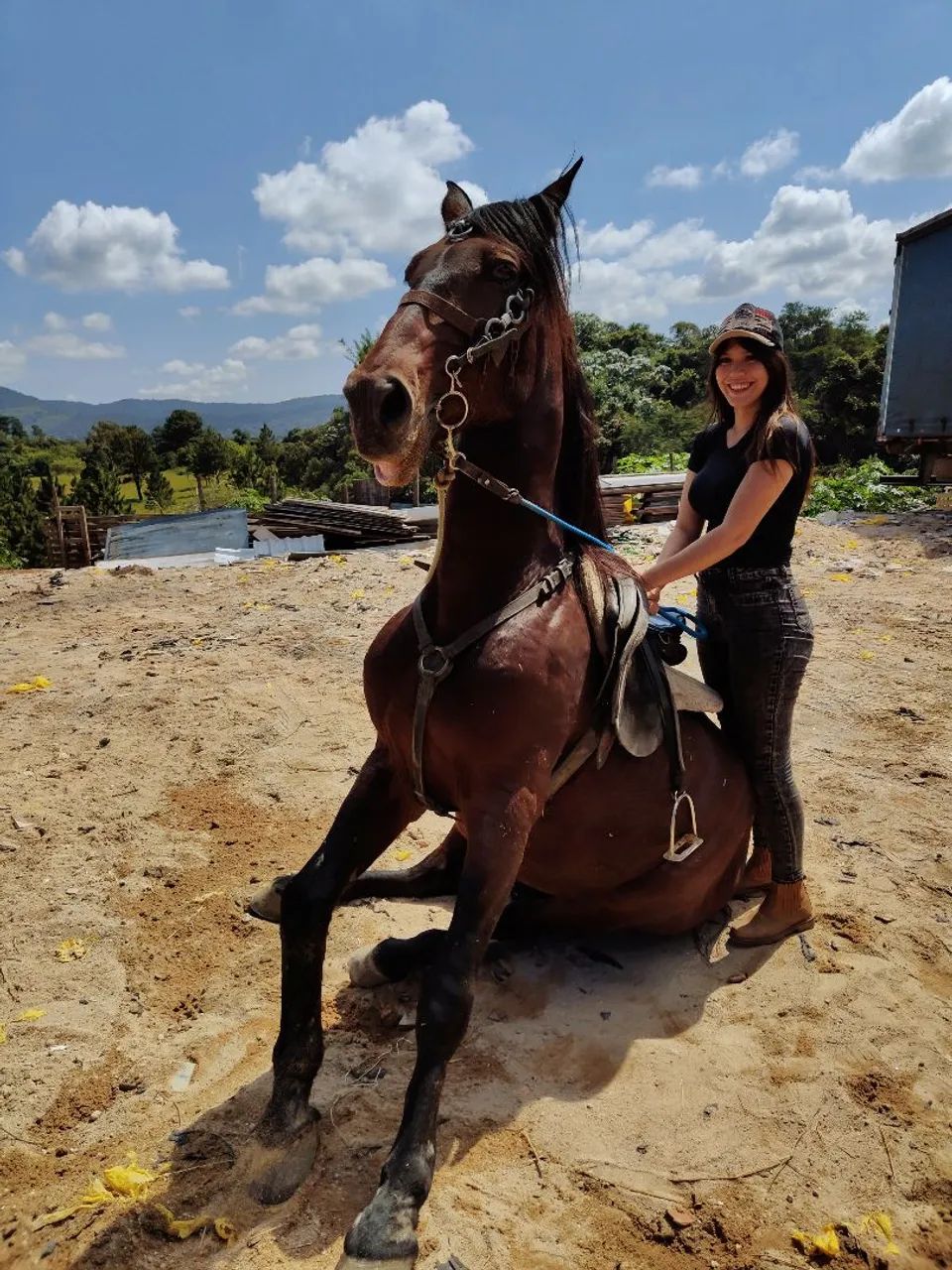 CAVALO PURO SANGUE LUSITANO OPORTUNIDADE ÚNICA!!! - Foto 4