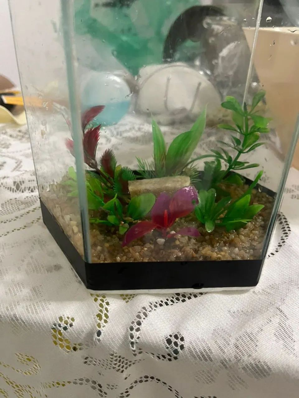 Aquário  - Foto 3