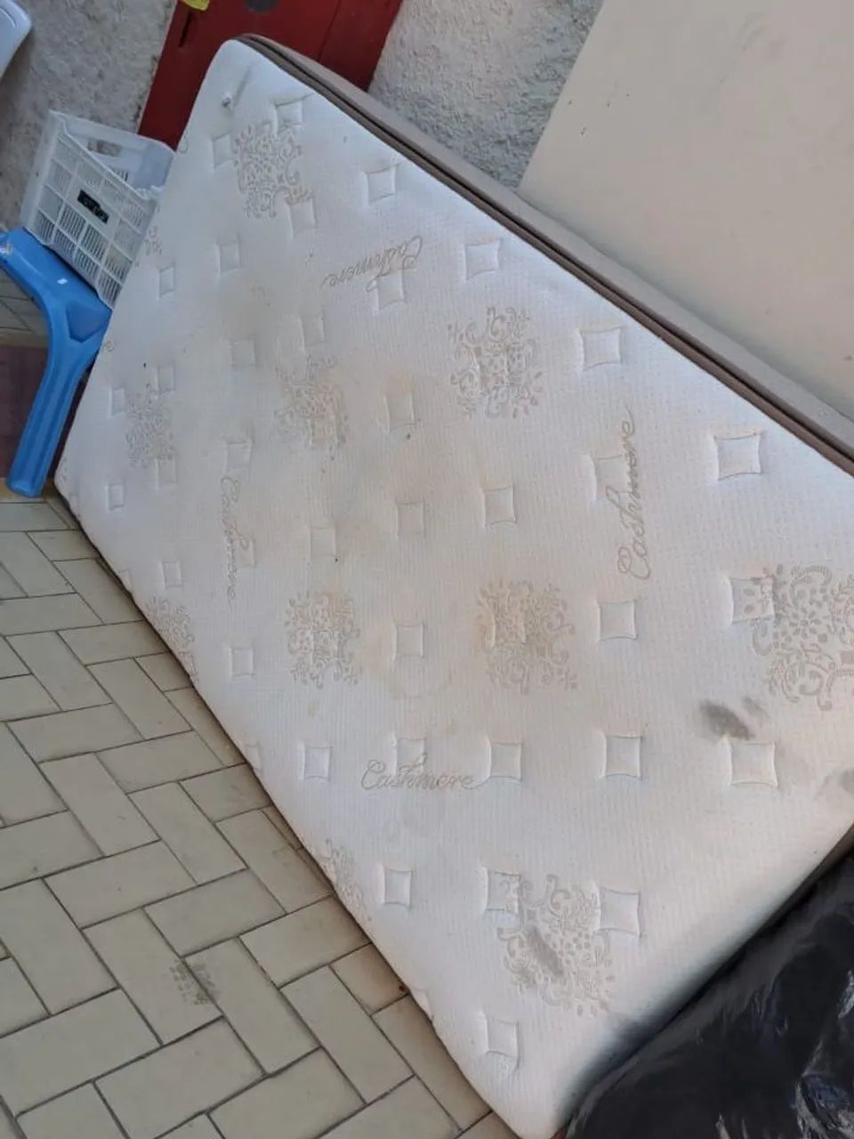 Colxao Solteirão 