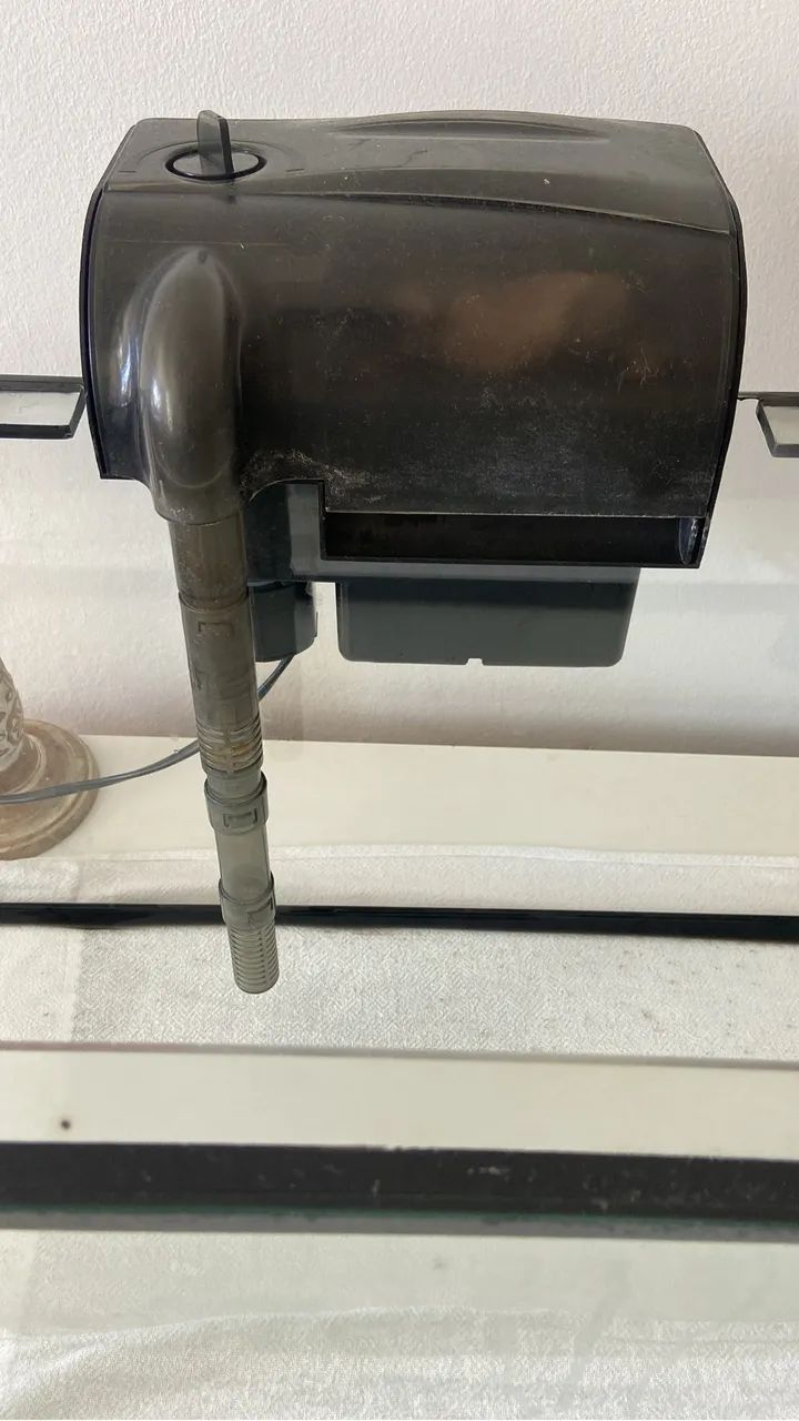 Aquário  - Foto 2