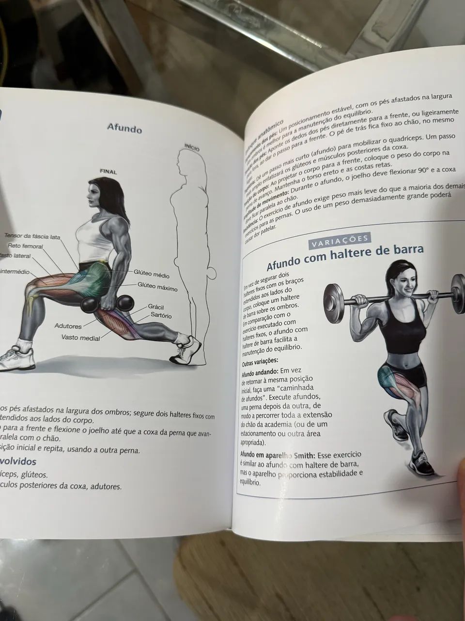 Anatomia da musculação  - Foto 3