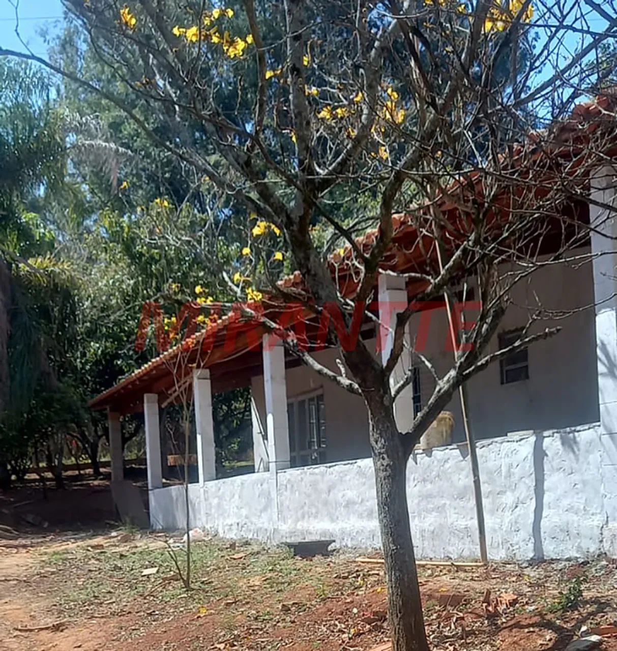 Chácara com 4 quartos em Cesario Lange - Foto 3
