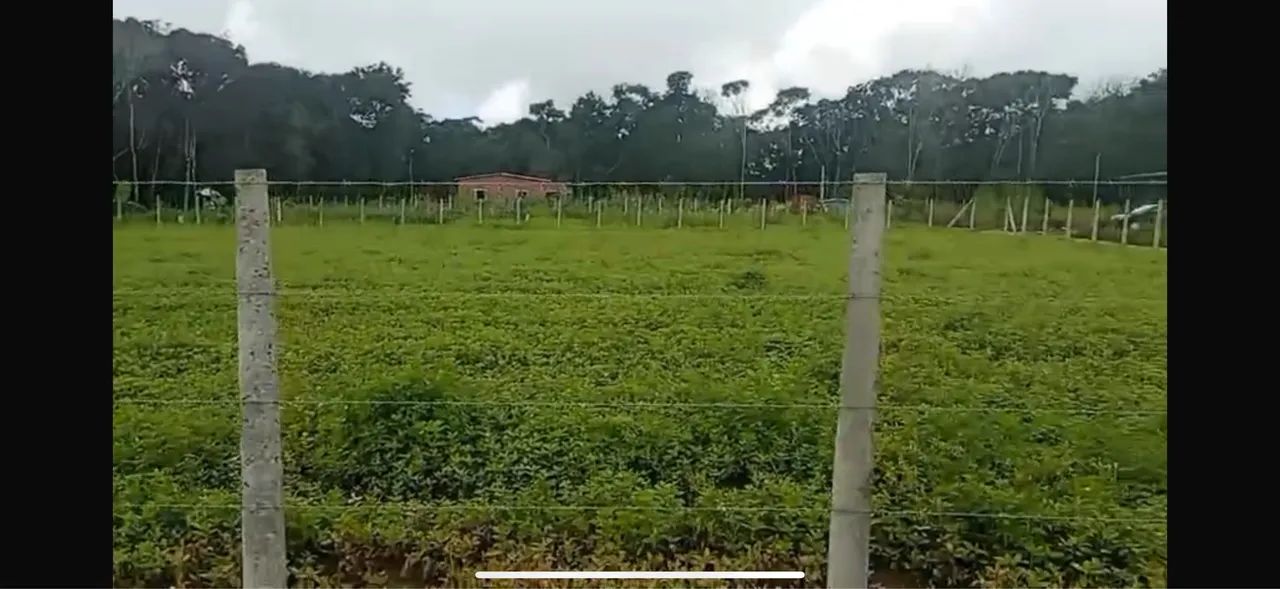 Terreno em Aldeia  - Foto 5