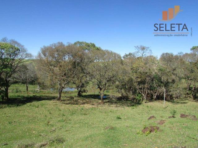 Fazenda- Venda- 8km da BR 277 - Foto 9