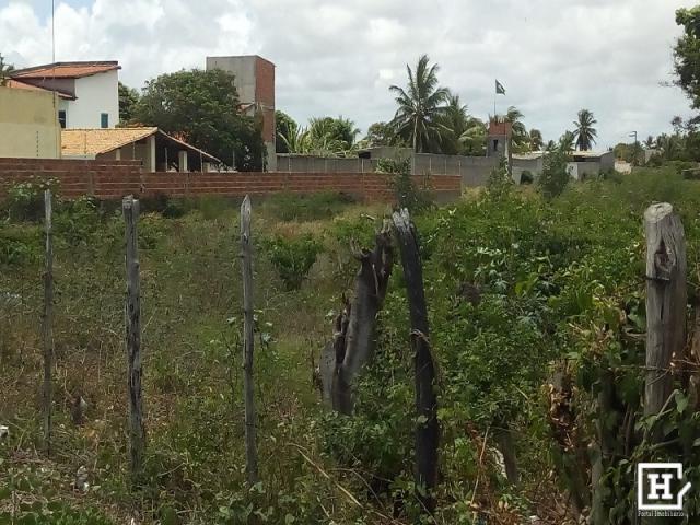 Terreno à venda - mosqueiro - Foto 4